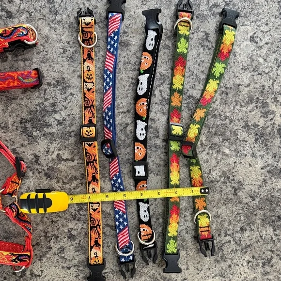 21 Vibrant Multicolor Dog Collars used